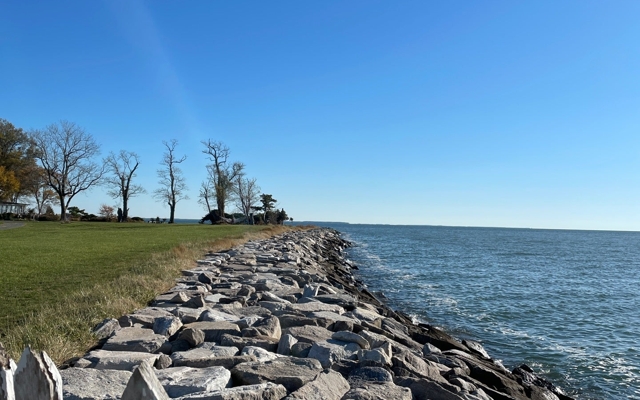Picture for Black Walnut Point Inn