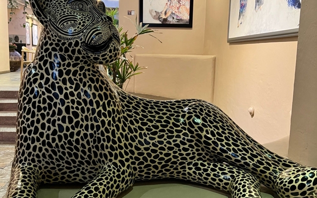 תמונה עבור Casa del Alma Hotel Boutique & Spa