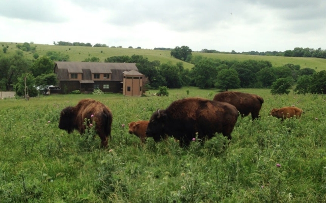 Picture for Circle S Ranch & Country Inn