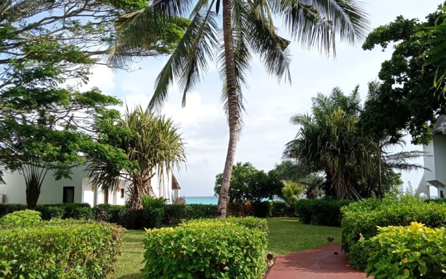 תמונה עבור Essque Zalu Zanzibar