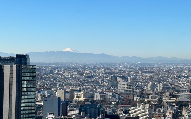 תמונה עבור Cerulean Tower Tokyu Hotel