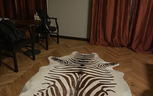 תמונה עבור Hotel Monopol