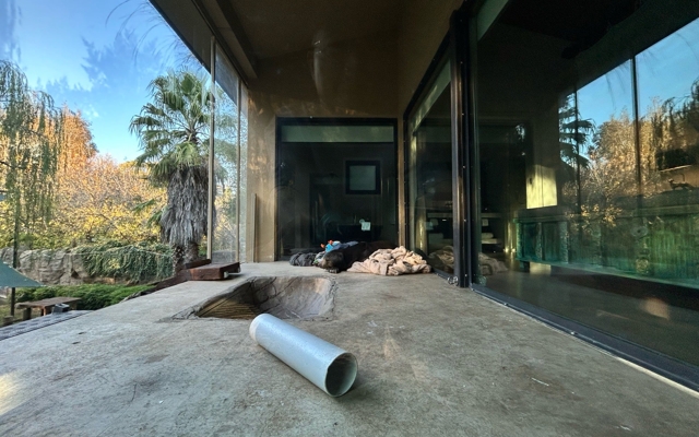 תמונה עבור Jamala Wildlife Lodge