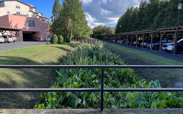 Изображение для Lotus Therme Hotel & Spa