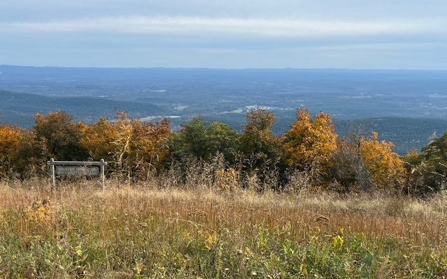 Picture for Queen Wilhelmina Lodge