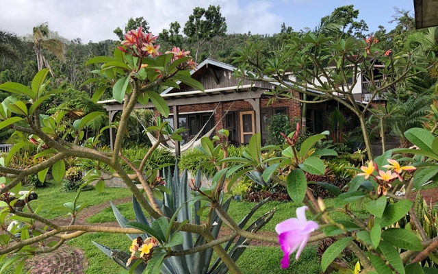 Picture for Rainforest Inn