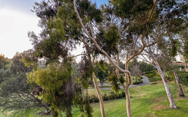 תמונה עבור Rancho Bernardo Inn