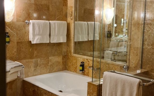 תמונה עבור Regent Berlin