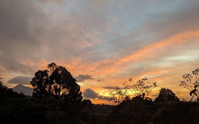 Picture for Sabyinyo Silverback Lodge
