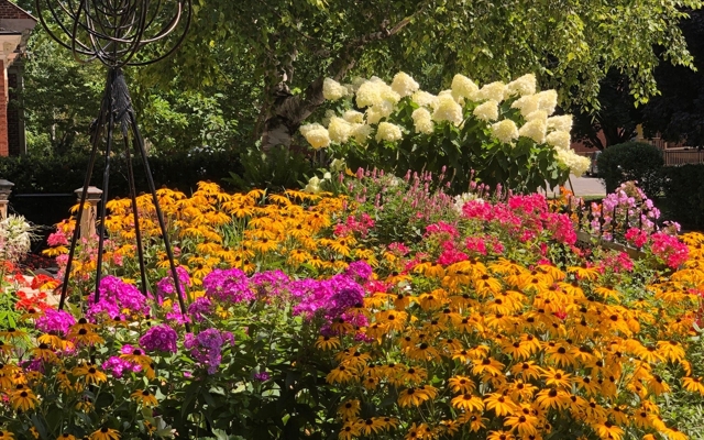 תמונה עבור The Secret Garden Inn