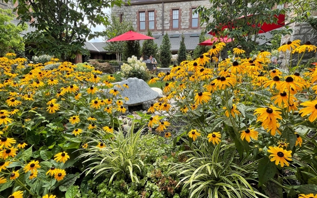 תמונה עבור The Abbey Inn & Spa