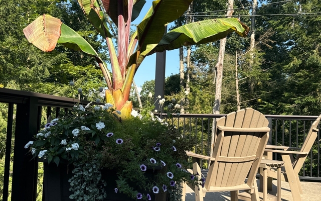 Picture for The Inn at Honey Run