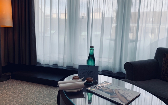 תמונה עבור The Ritz-Carlton, Vienna