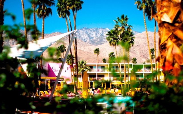 תמונה עבור The Saguaro Palm Springs
