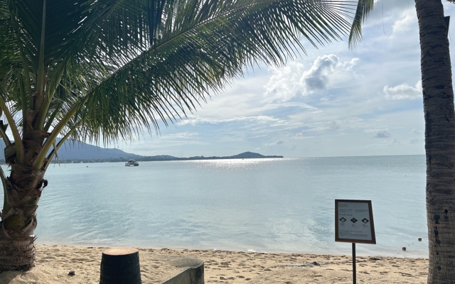 תמונה עבור W Koh Samui