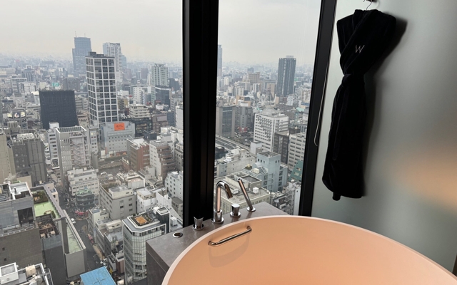Изображение для W Osaka