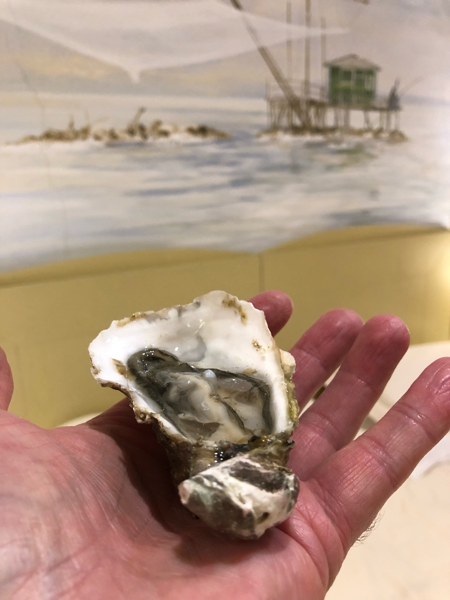 Picture for Hotel Bologna