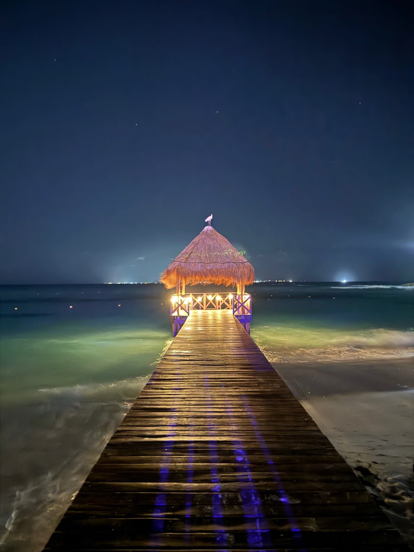 תמונה עבור Hyatt Ziva Cancun