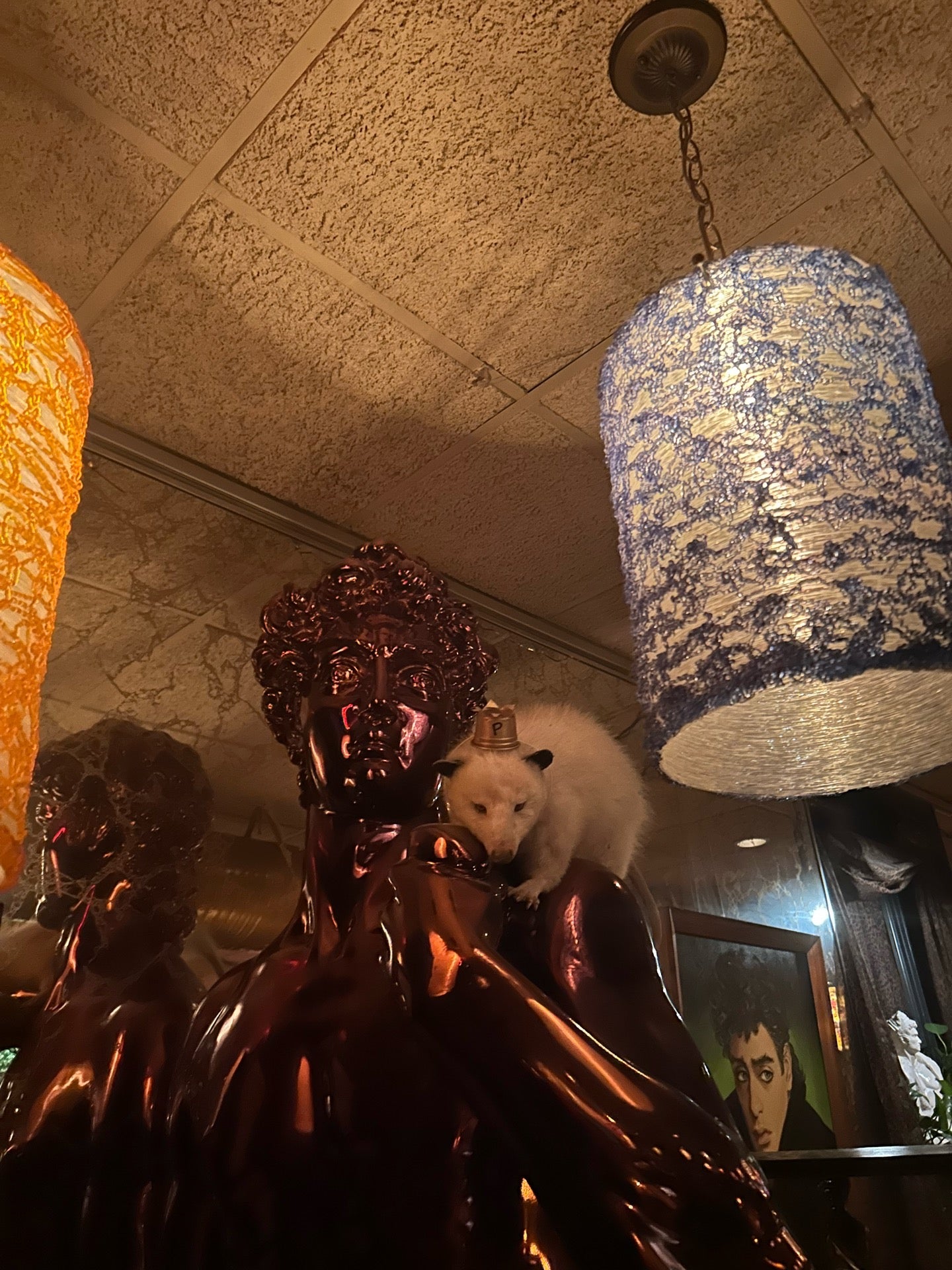 Picture for L'Opossum