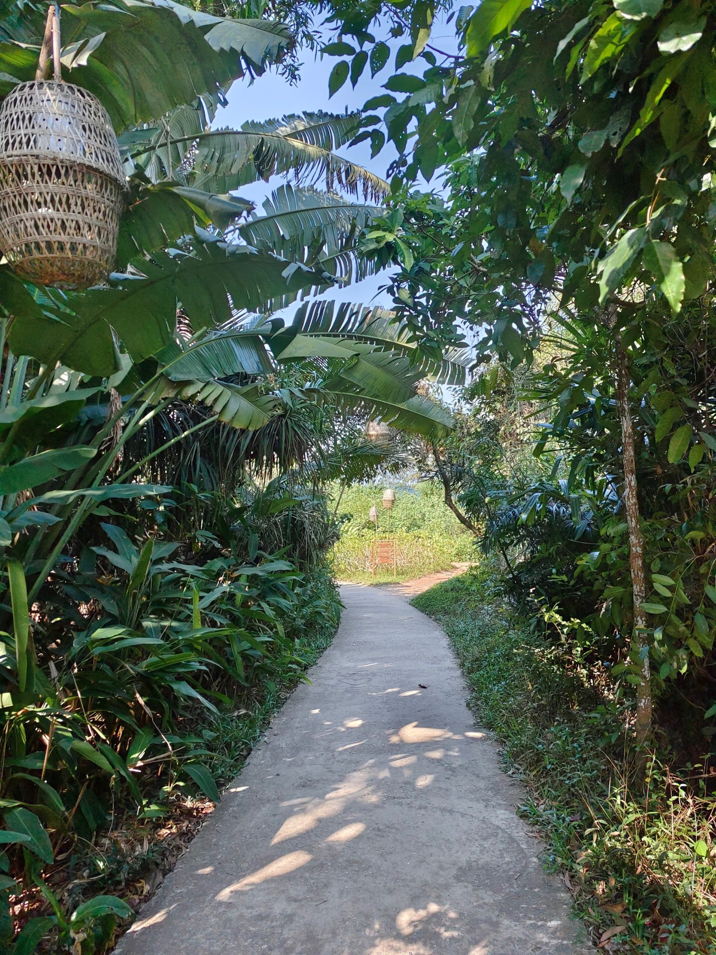 Изображение для Mango Bay Resort