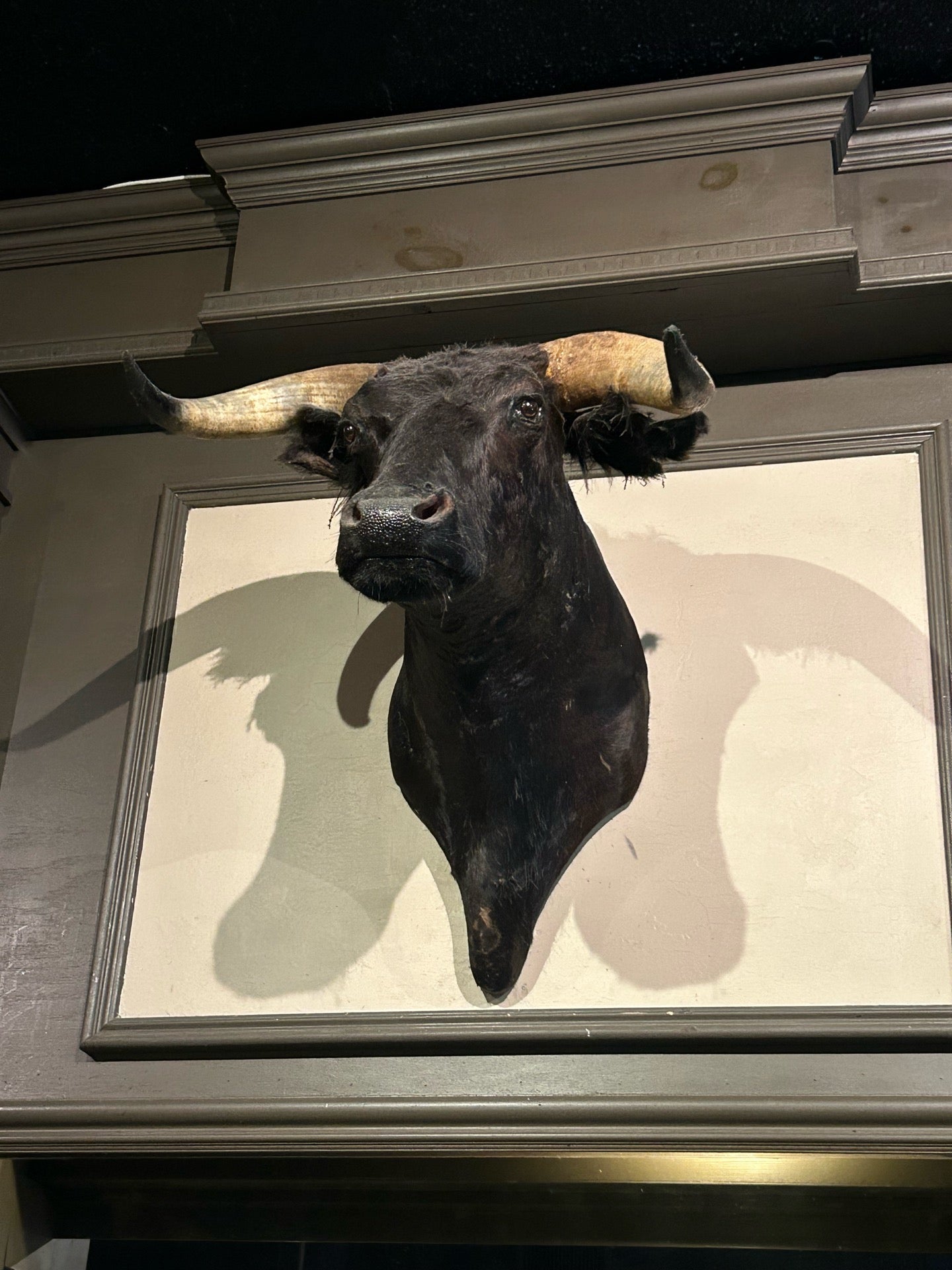 Picture for Old Bull Tavern
