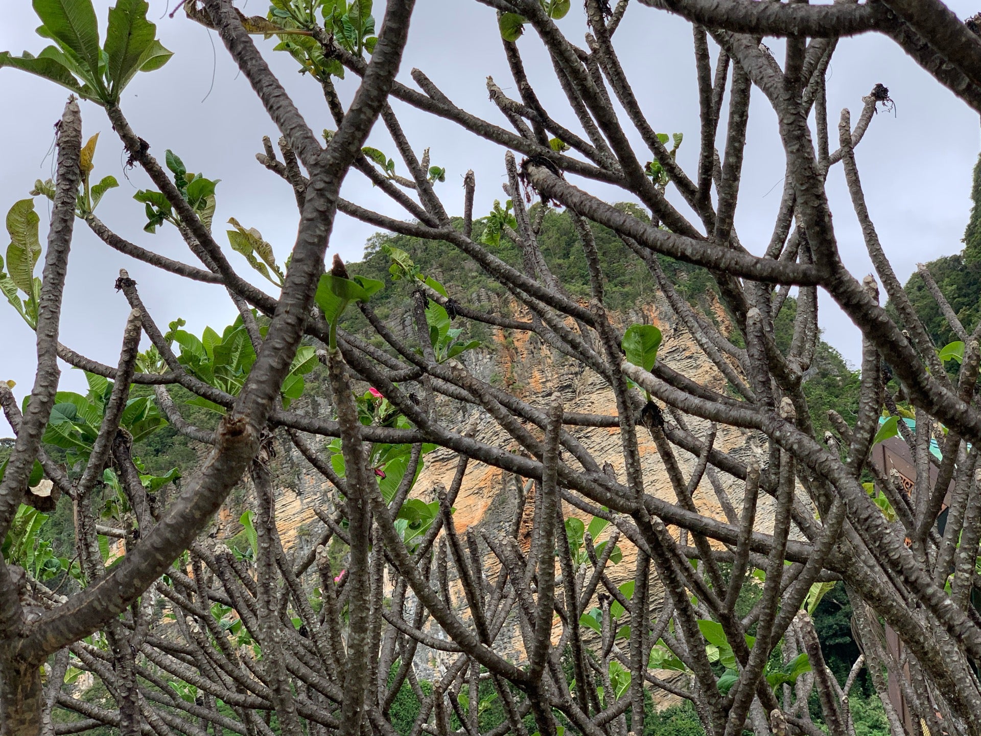 תמונה עבור On The Rocks