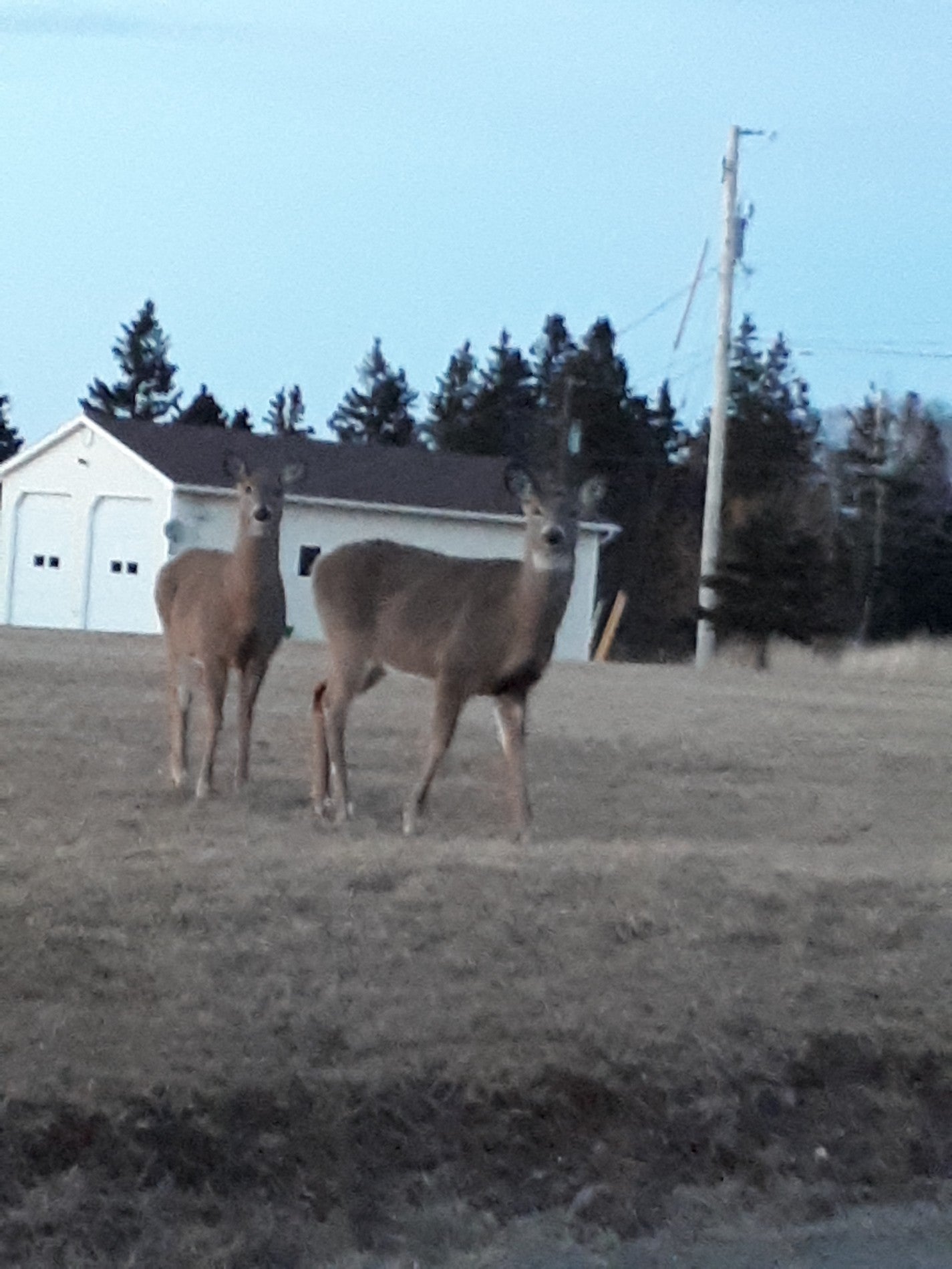 Picture for Pictou Lodge Beachfront Resort