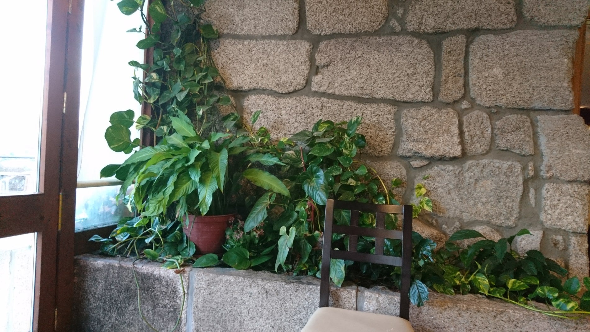 תמונה עבור Quinta do Outeiro