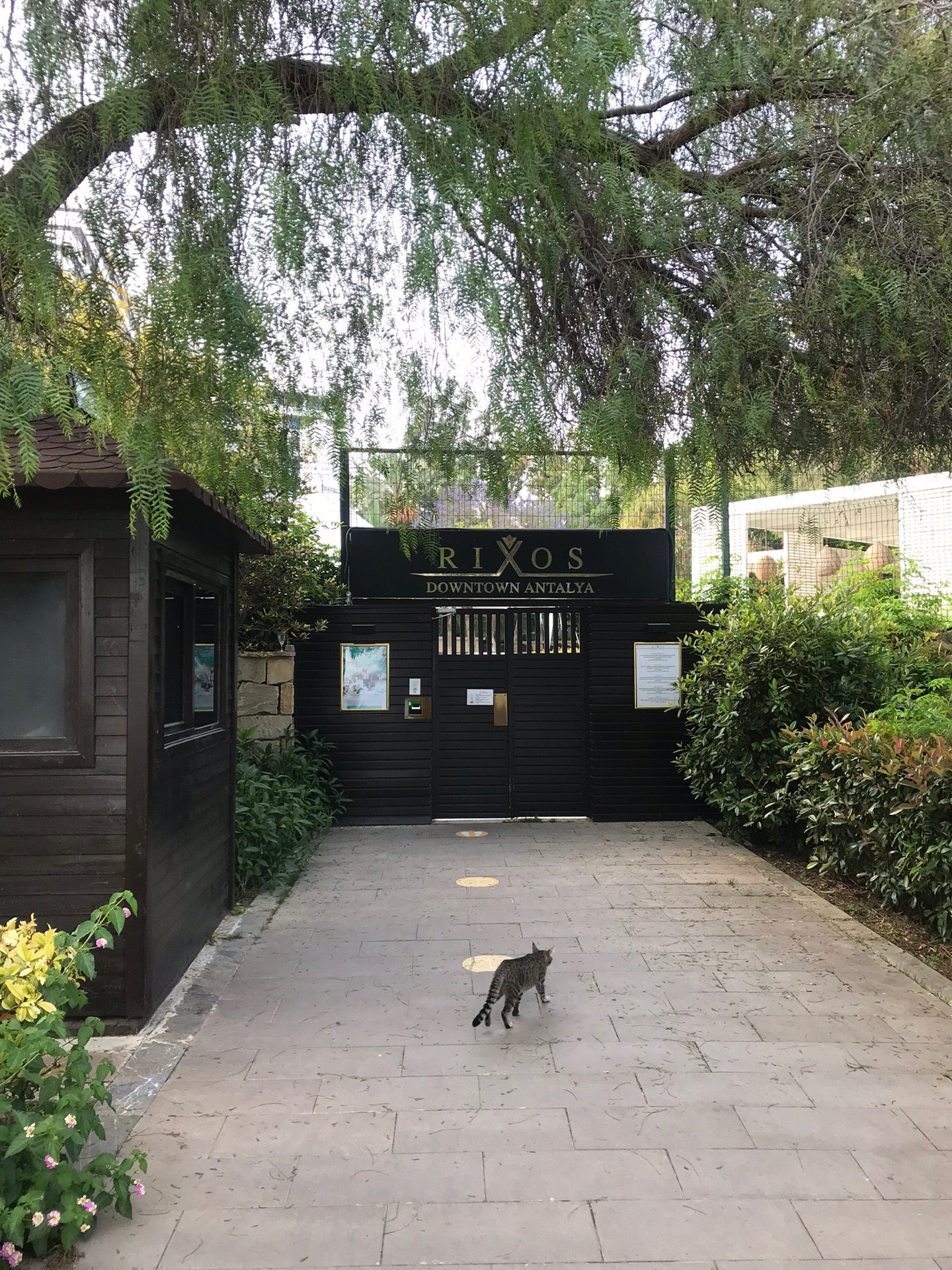 Picture for Rixos Downtown Antalya