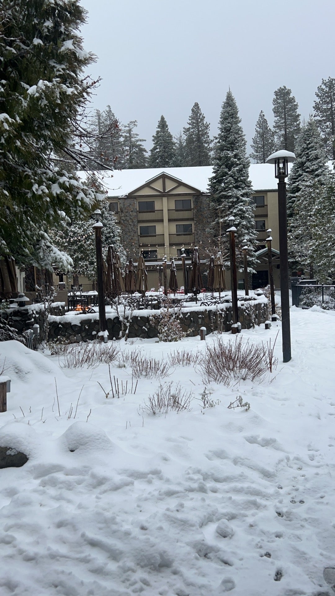 Picture for Tenaya Lodge at Yosemite