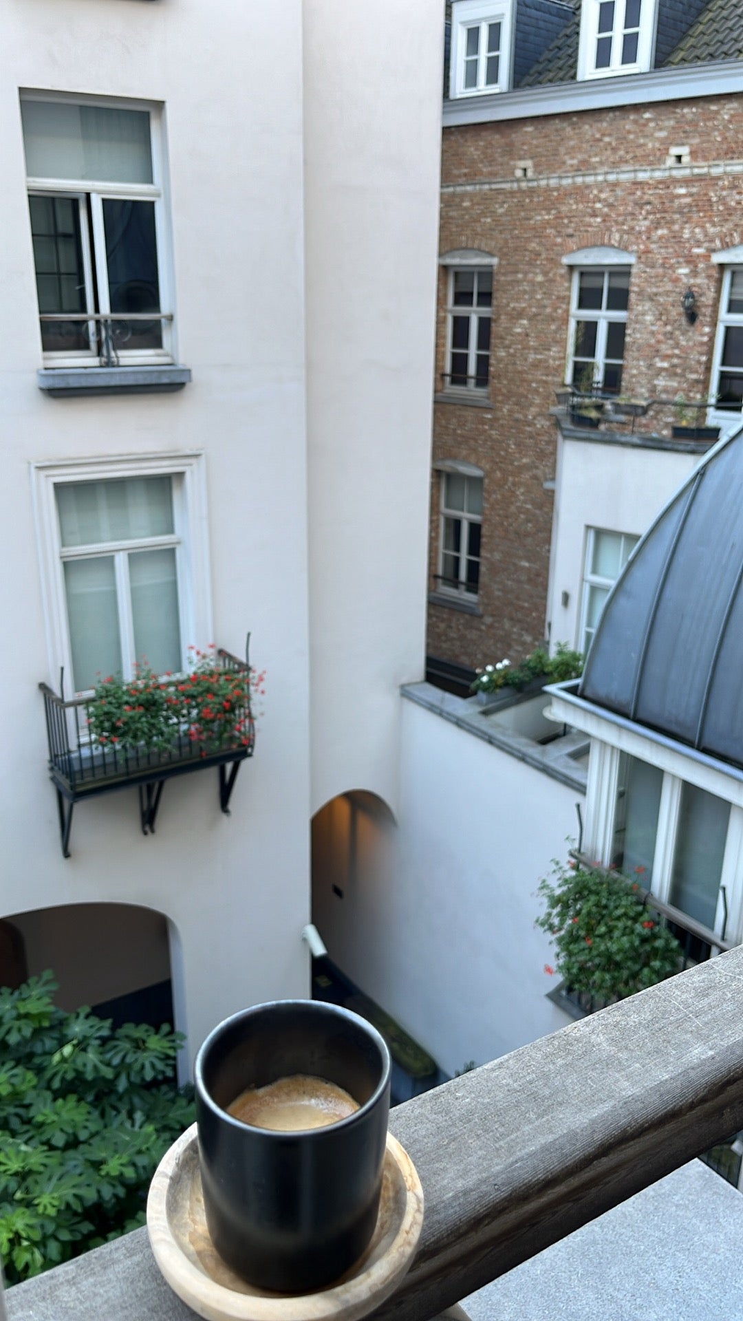 Изображение для The Dominican