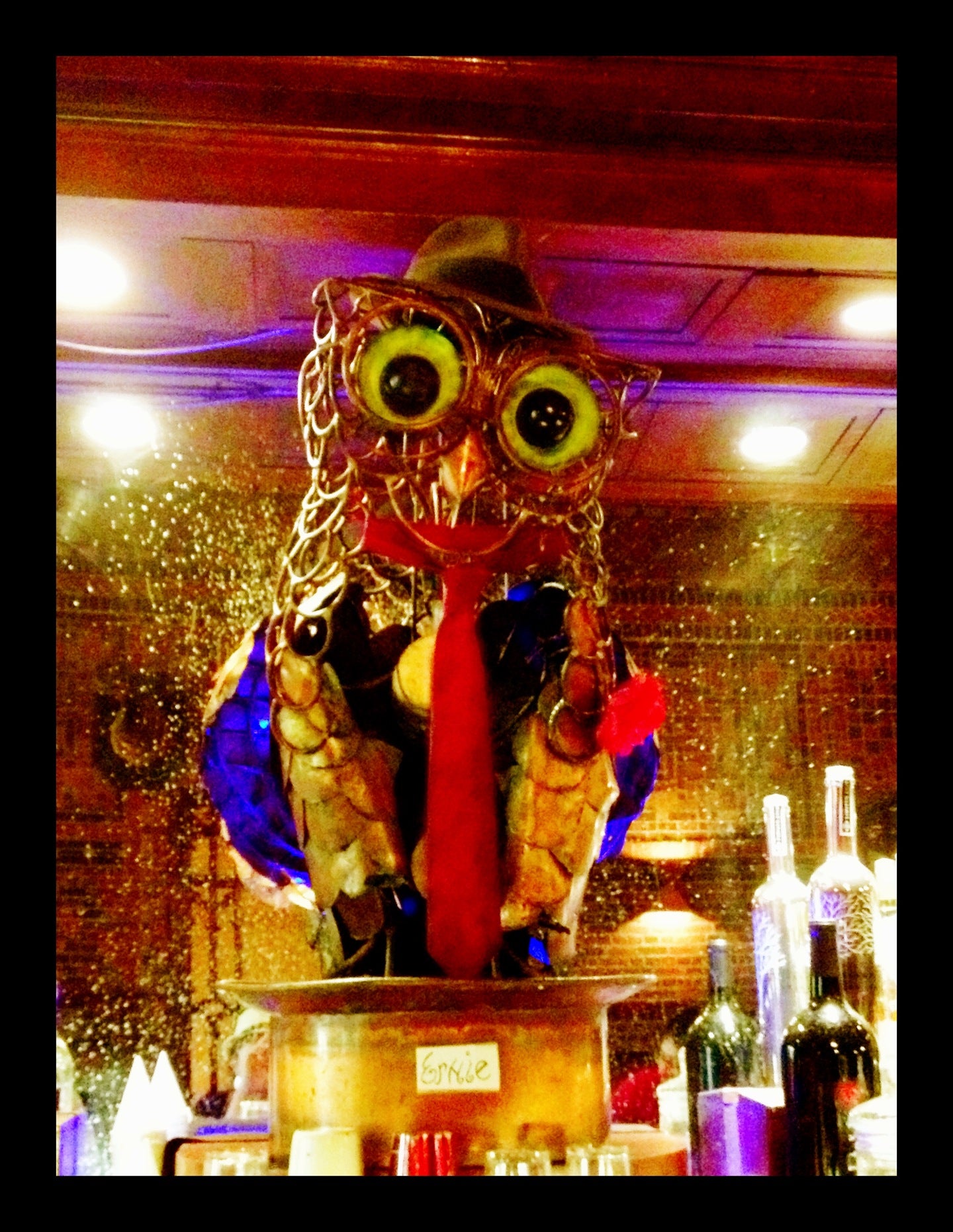 Picture for The Owl Bar