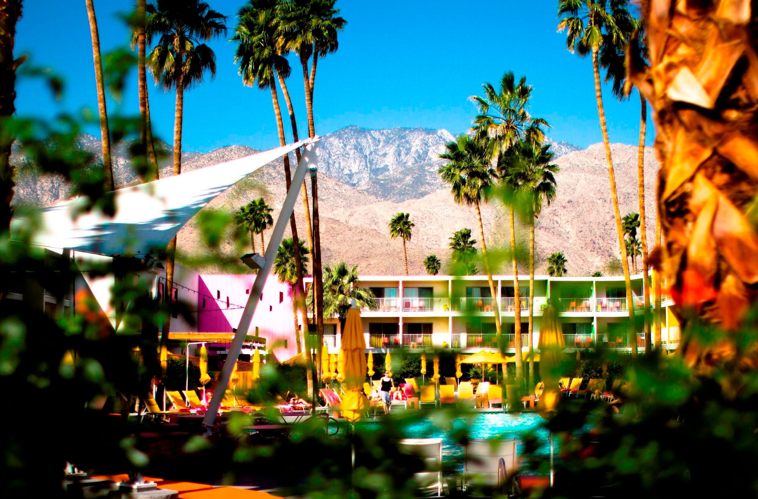 תמונה עבור The Saguaro Palm Springs