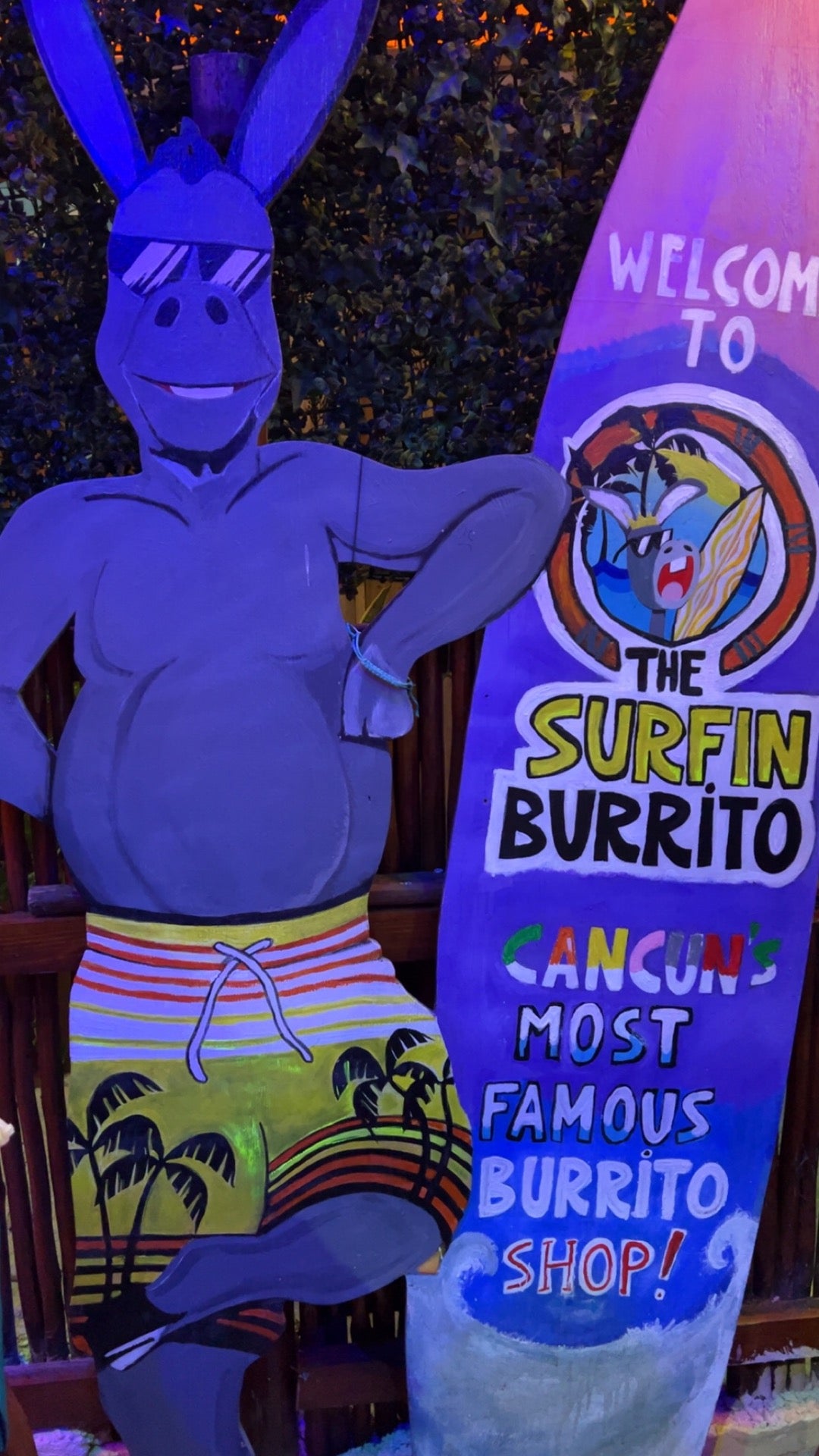 Picture for The Surfin Burrito