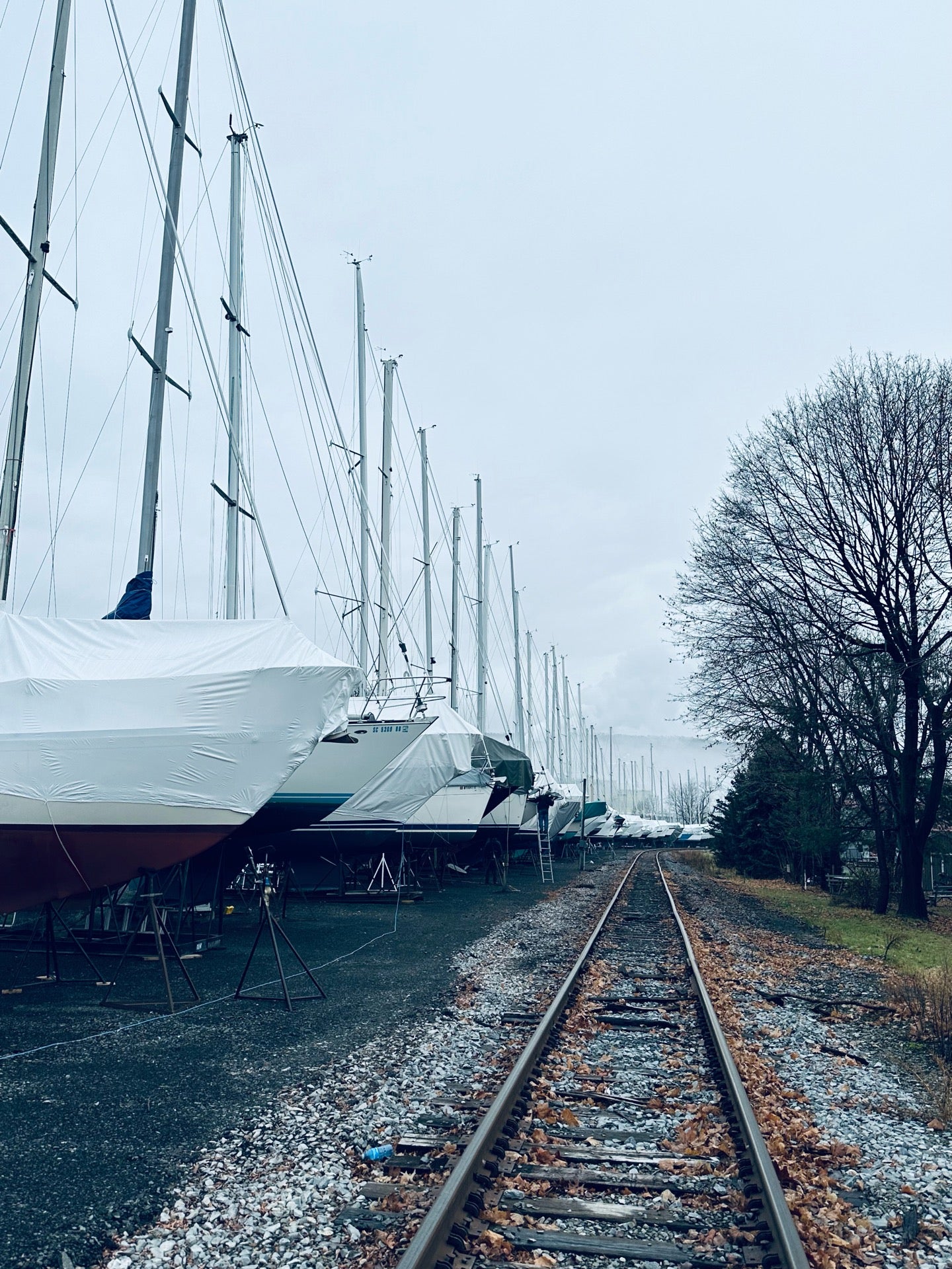 Picture for Watkins Glen Harbor Hotel