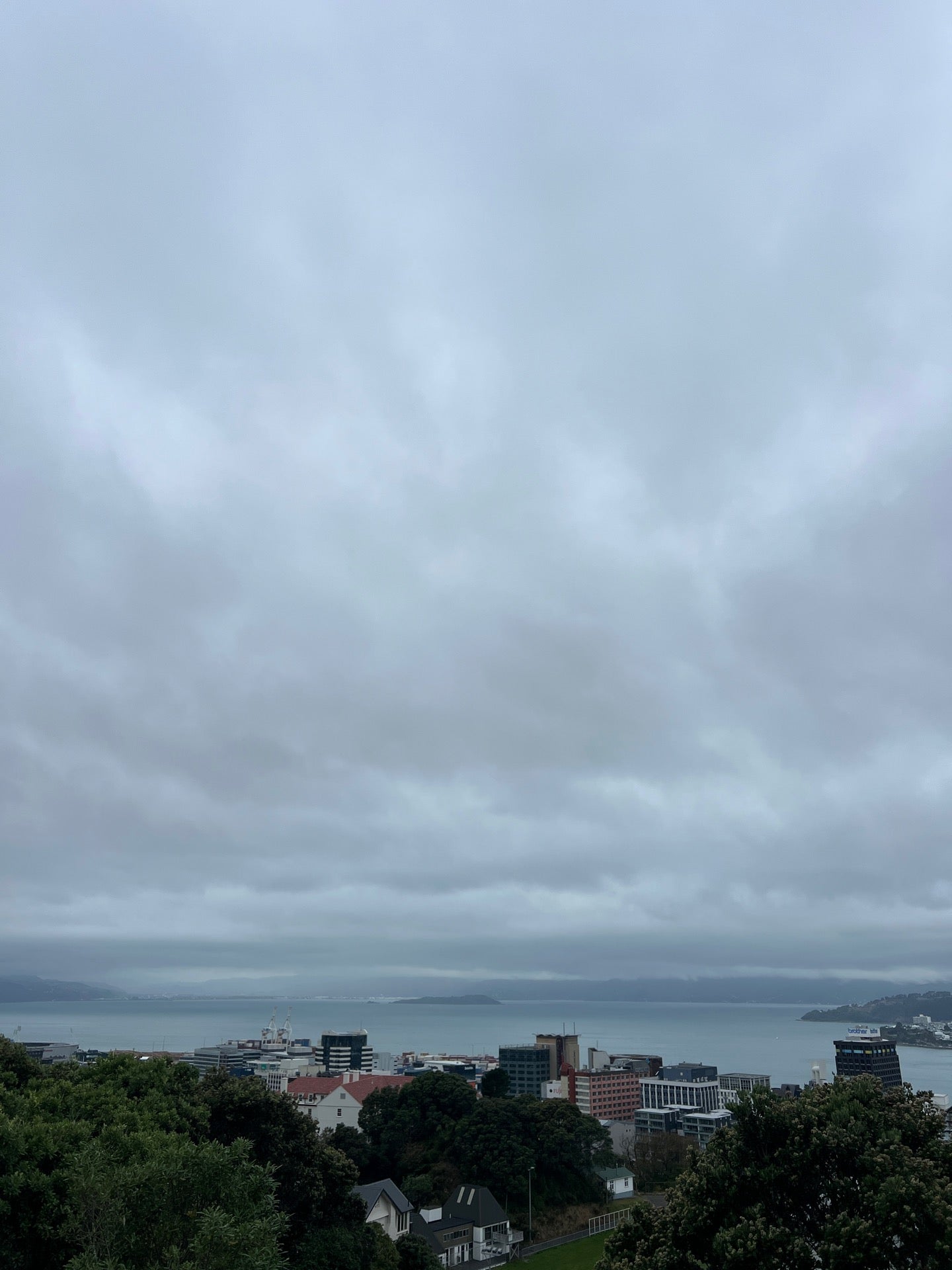 Picture for Wellington Hotel