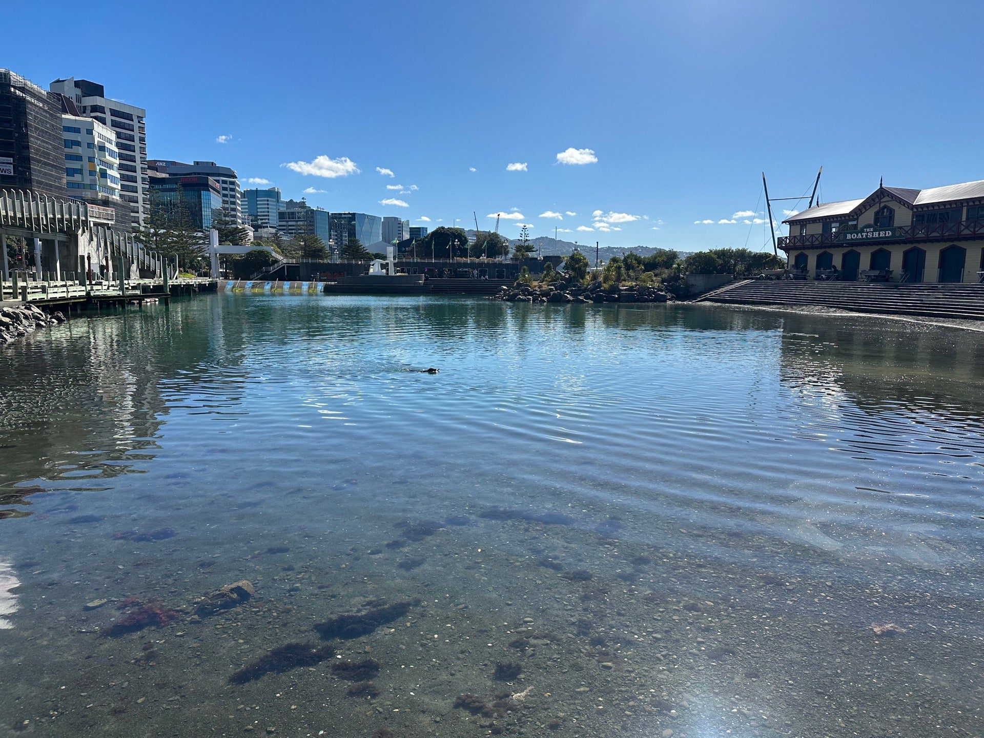 Picture for The Waterfront Hotel